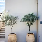 Villa Politimi Luxury Retreat *