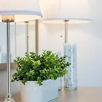 Politimi Luxury Retreat