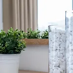 Villa Politimi Luxury Retreat Skopelos stad