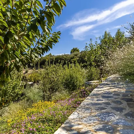 Politimi Luxury Retreat Skopelos Town